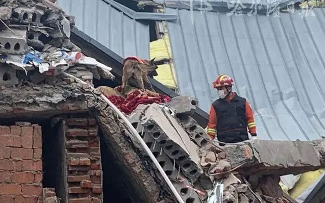 哈爾濱坍塌事故，引發(fā)老舊小區(qū)改造問題新思考